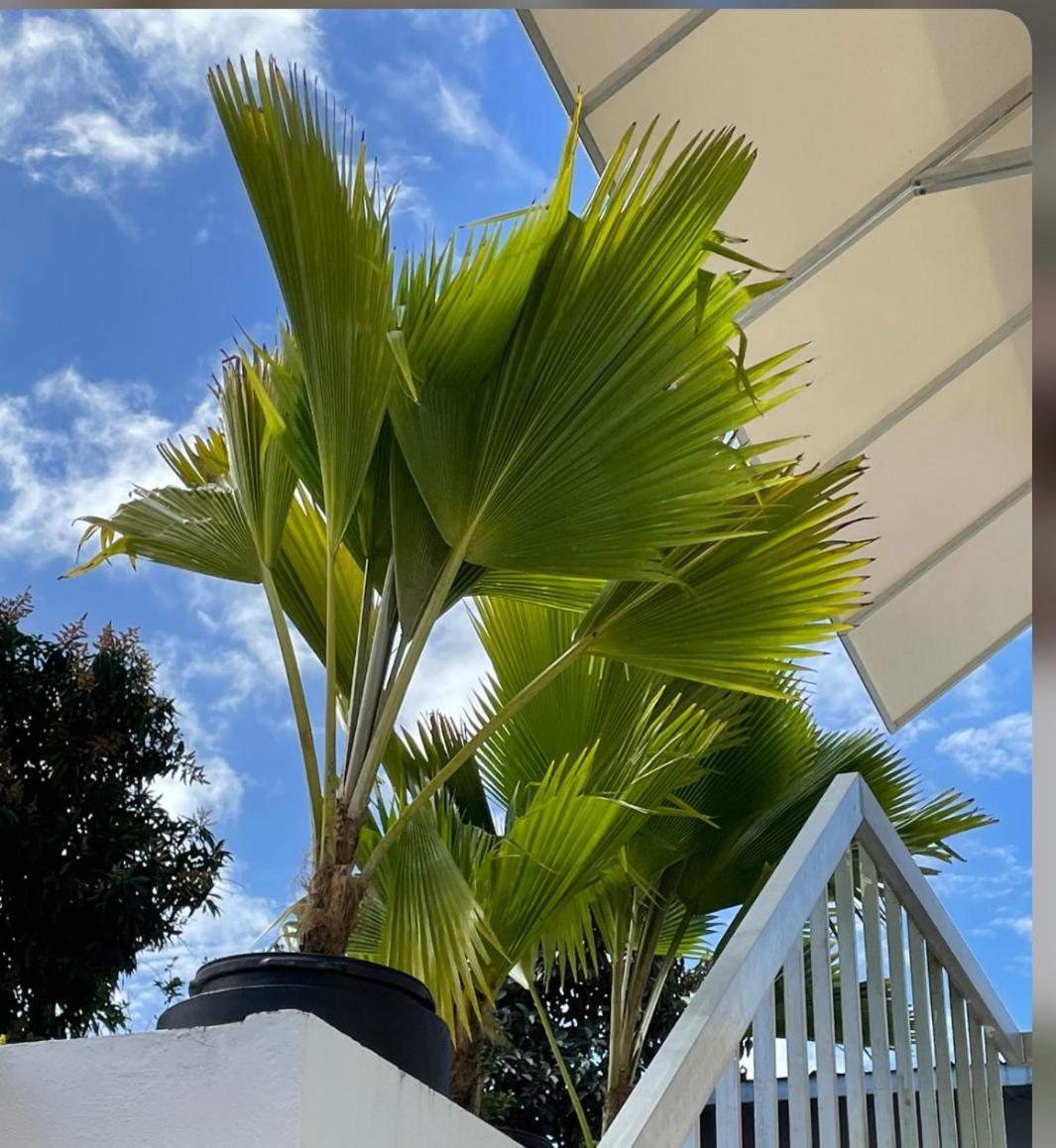 Appartamento Mar Báltico San Juan Esterno foto